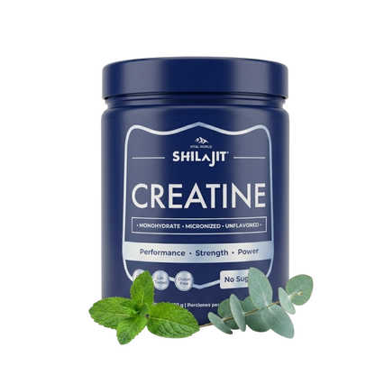 Creatina Micronizada